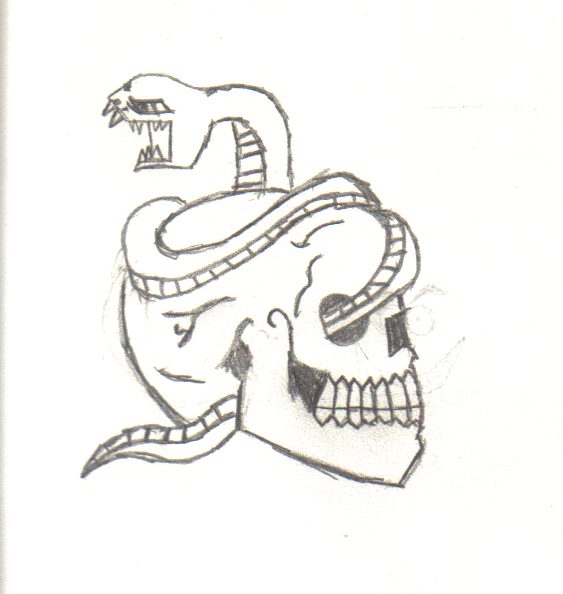 Skull and snake