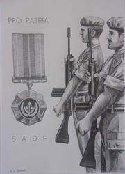 SADF Pro patria by robertvorster