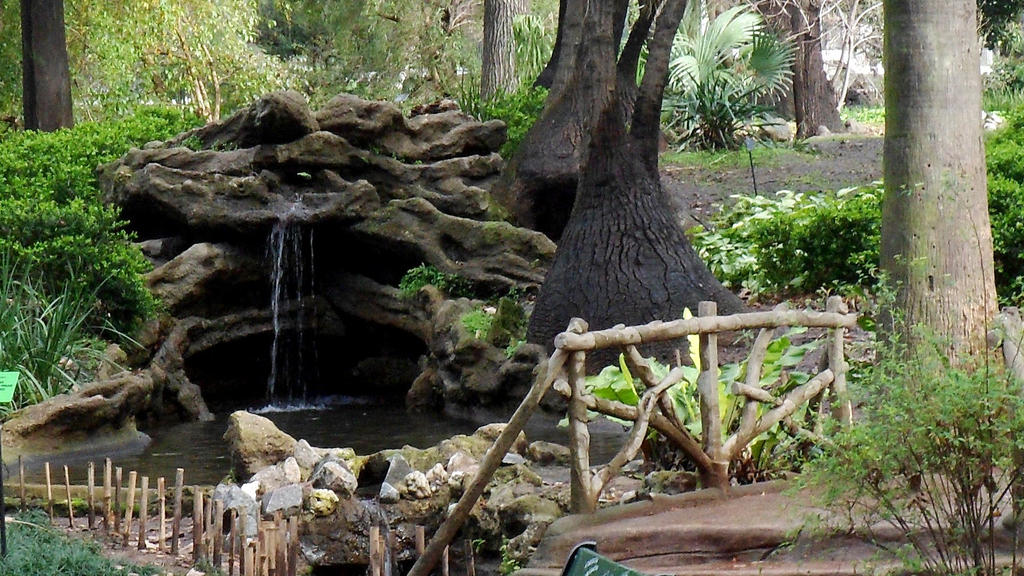 Jardin Botanico 4