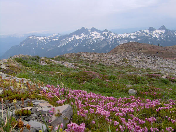 Beautiful Mount Rainier