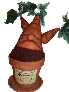 Mandrake_Cake