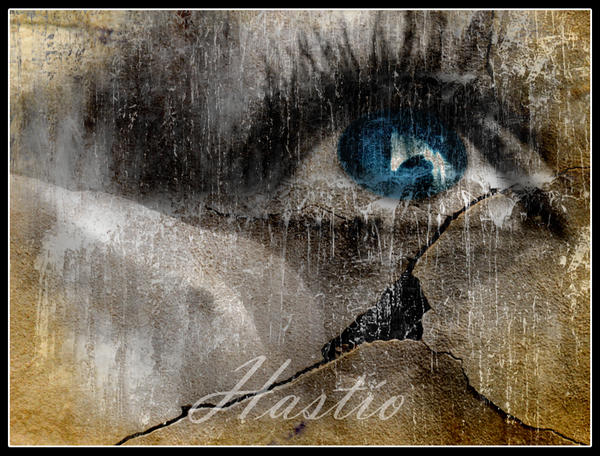 Hassto Hastio by ffondness on DeviantArt