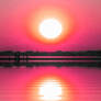 red sunshine