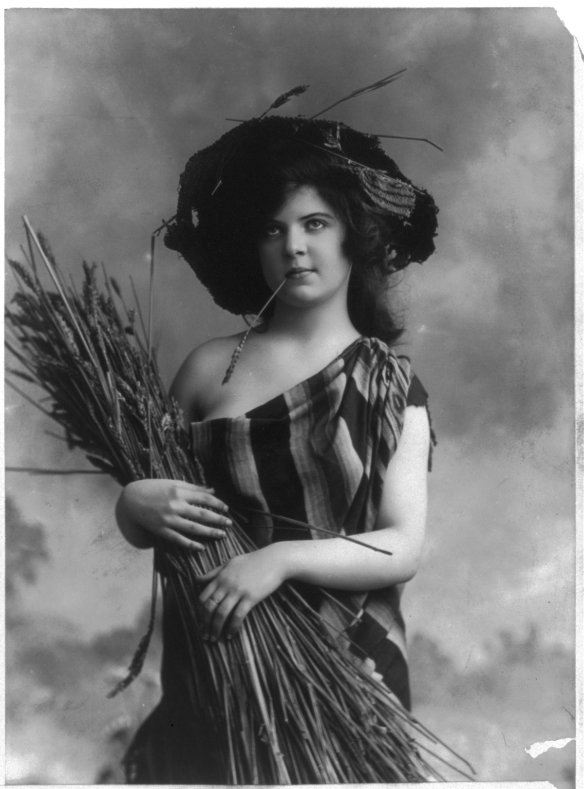 Vintage harvest lady