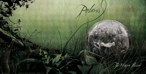 Polaris - The Human Illusion