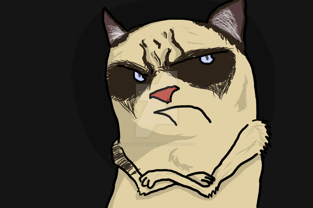 Grumpy Cat Rip Deviantart Grumpy Cat by MattTheAwesome18 on DeviantArt