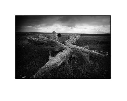 Bog Achill Island Co Mayo Irel