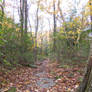 Path 1 2