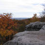 Rock Stock 3