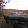 Rock Stock 5