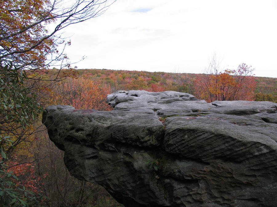 Rock Stock 5