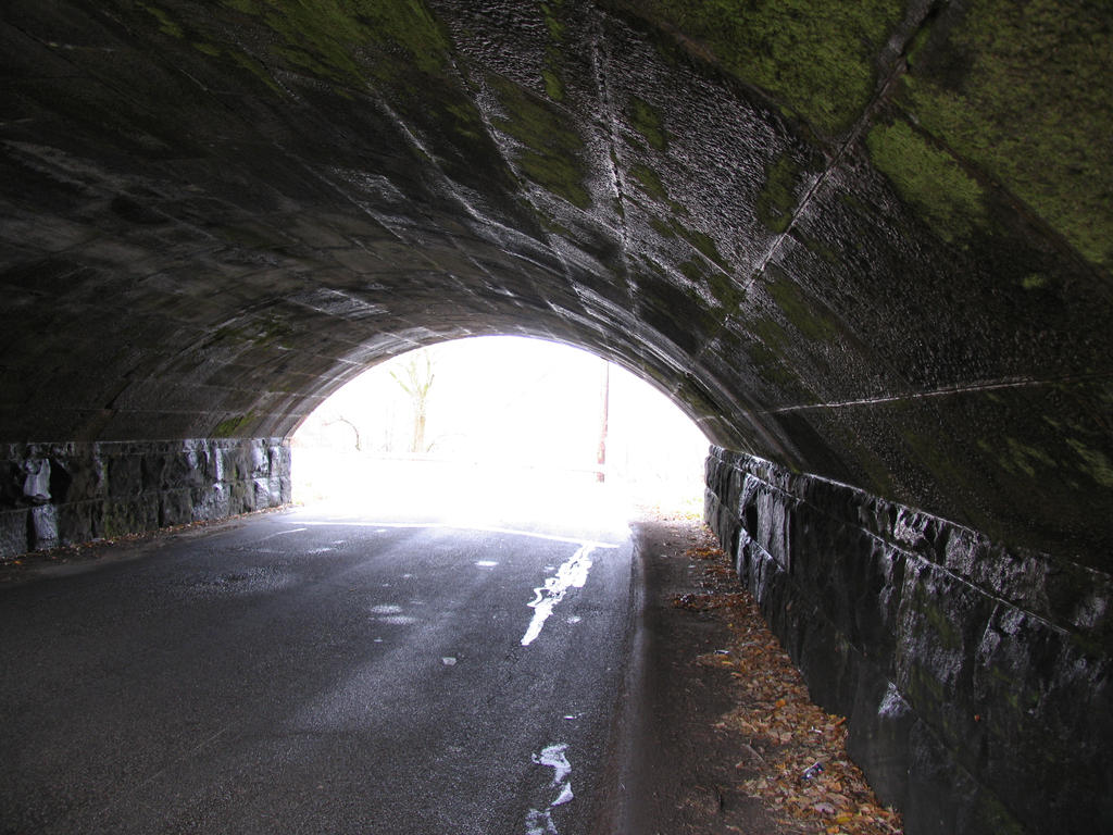 Tunnel Stock 1 8