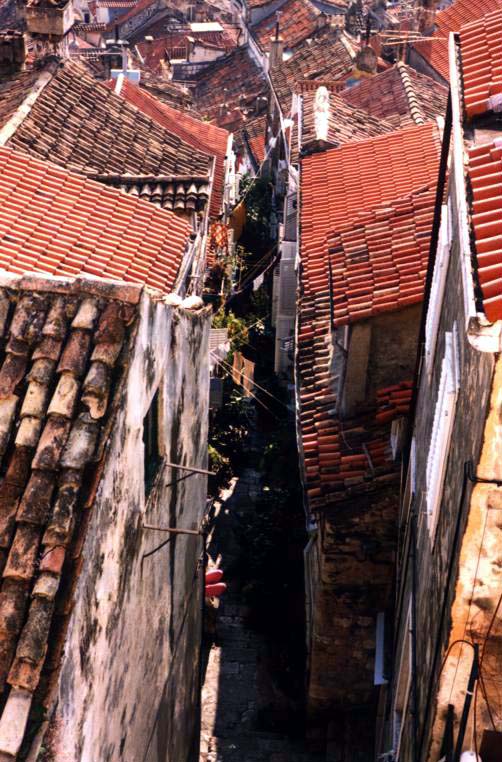 Guarded Roofs