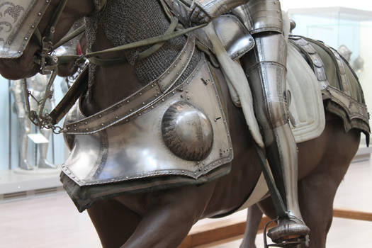 mounted knight close up 11