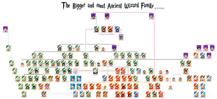 The Bigger and Most Ancient Wizard Family