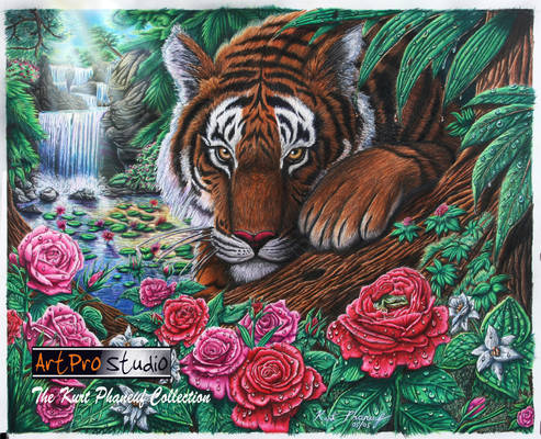 Wildlife Art - The Tiger's Glance