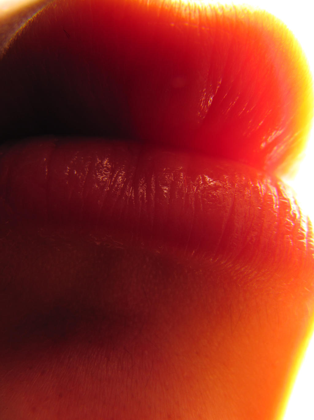 Super Macro Lips