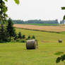 Hay bales