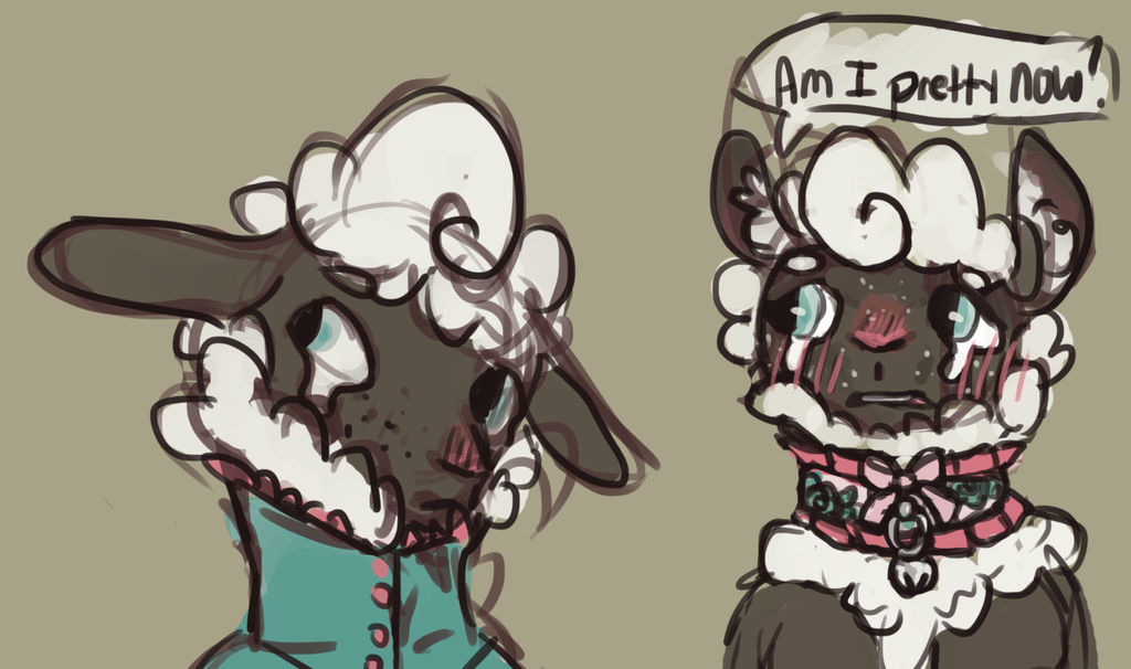 sheepy doodles