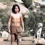 Jungle Book- Shere Khan threatens Mowgli
