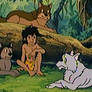 Mowgli with an old wolf