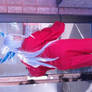Inuyasha Unfinished 01