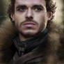 Robb Stark: the king in the north