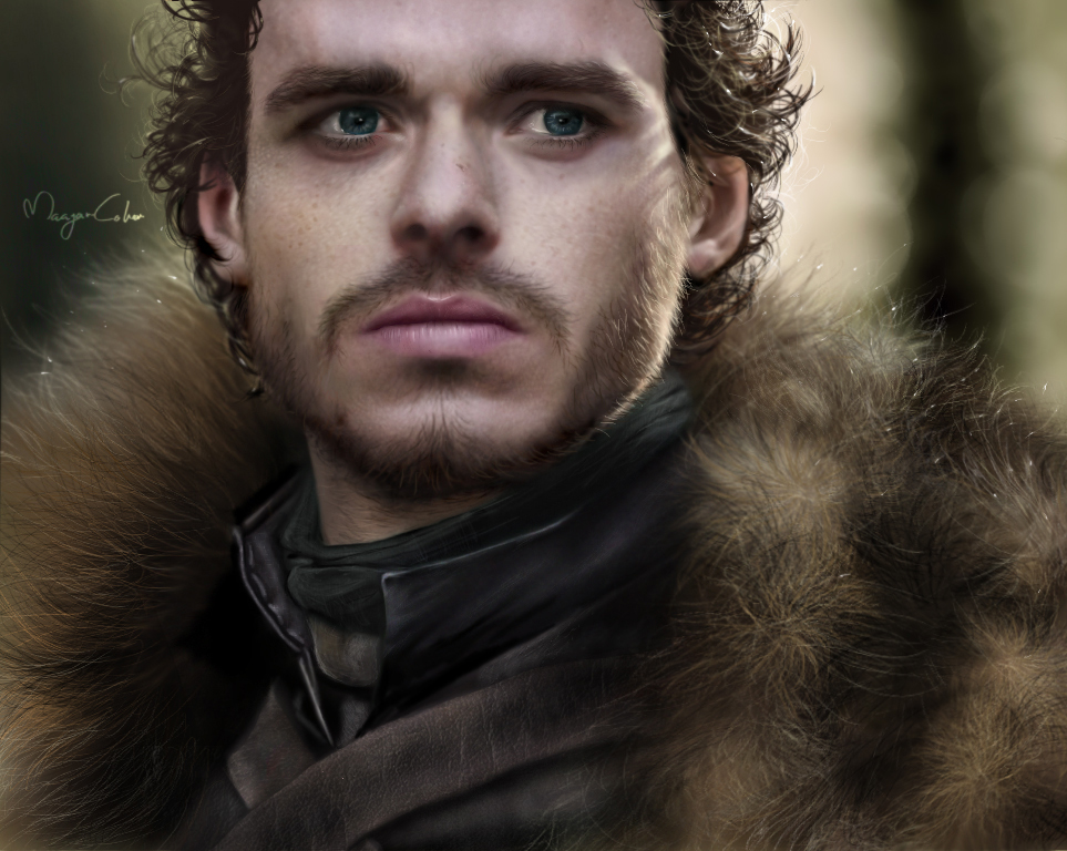 Robb Stark: the king in the north