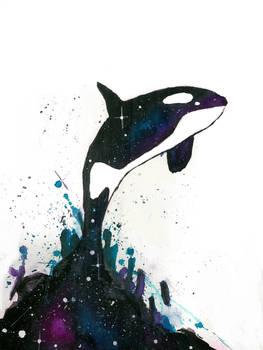 Orca