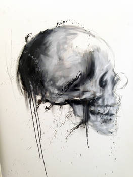 Skull Study # OIl  #5
