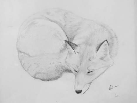 Silver Fox study