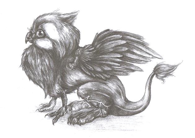 Baby Gryphon