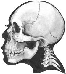 Skull - Bad scan