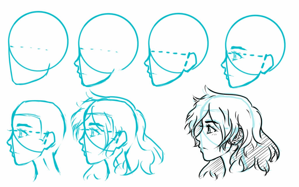Anime Face Profile Tutorial (see video) by AlexandeNight on DeviantArt