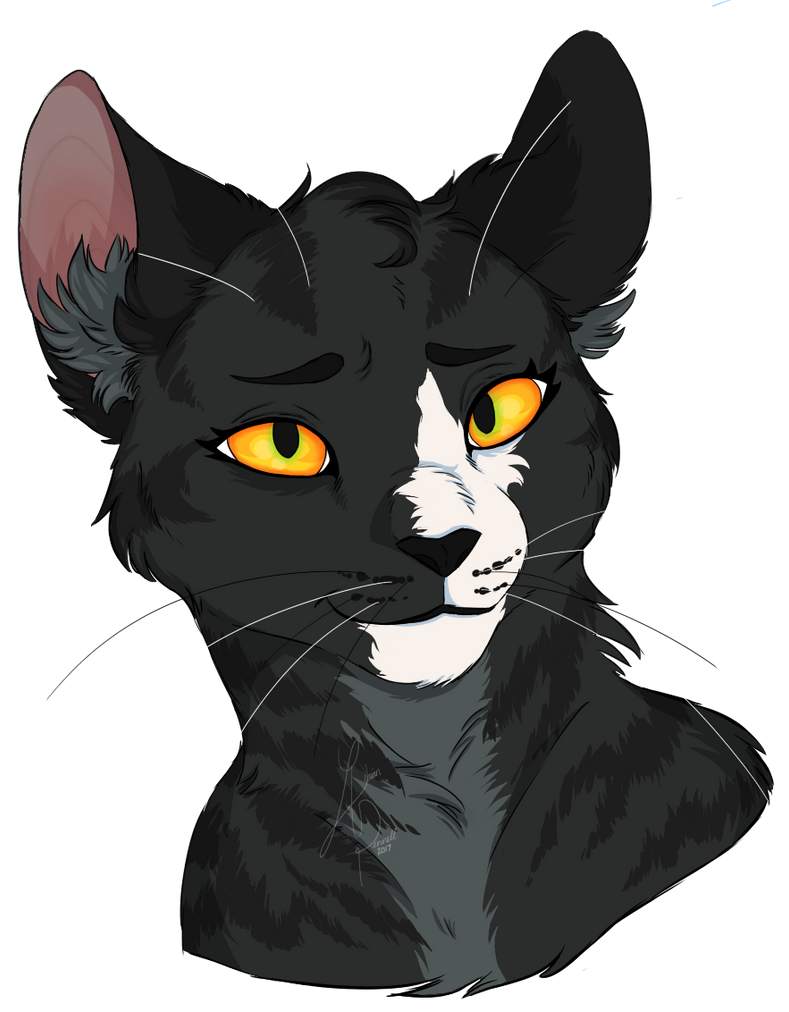 You've Got the Money and the Heartache by lycanrott