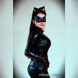 The Dark Knight Rises Selina Kyle (catwoman)