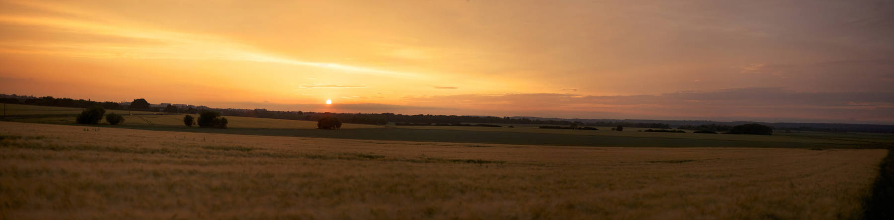 Above the fields