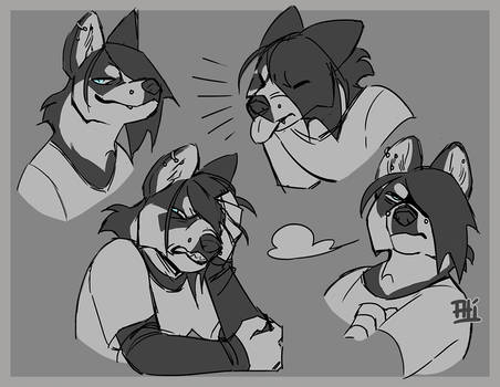Bailey Sketch Expressions
