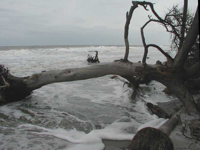 Hunting Island II