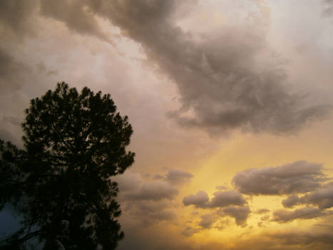 Brisbane storm 18/11/12