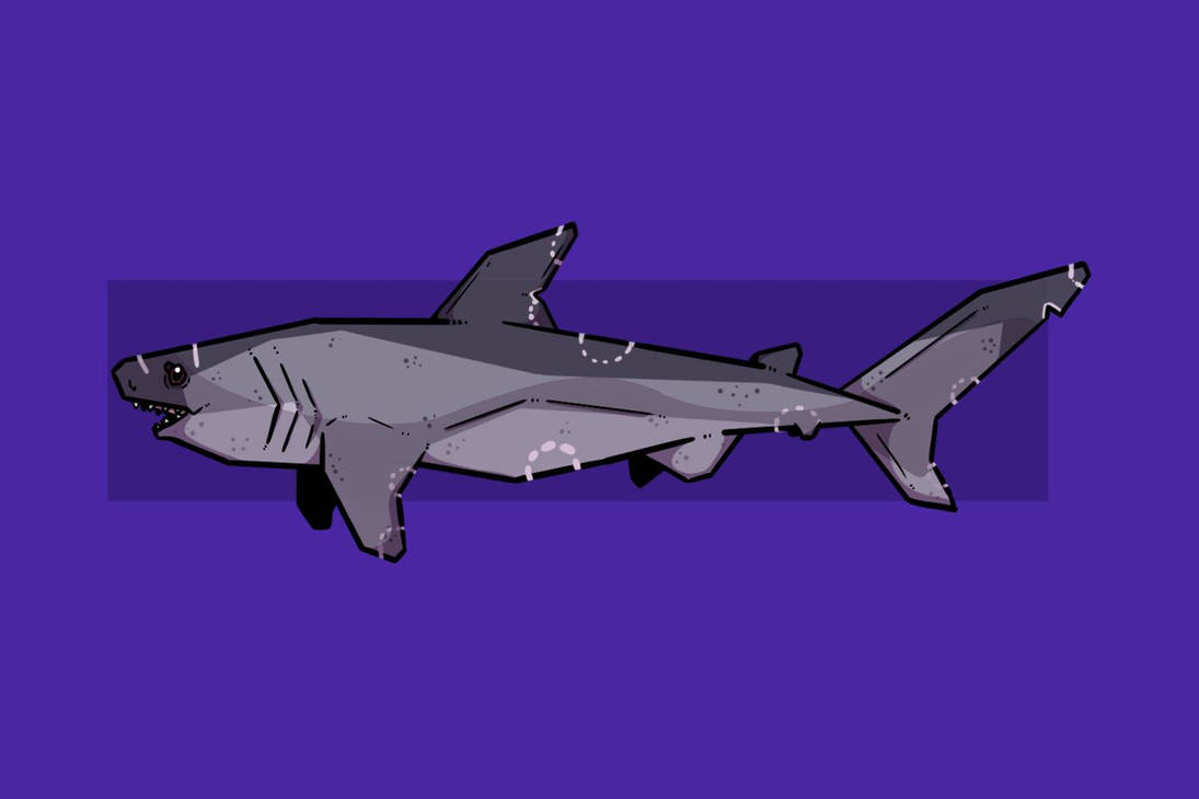 Megalodon by 20CMills02 on DeviantArt
