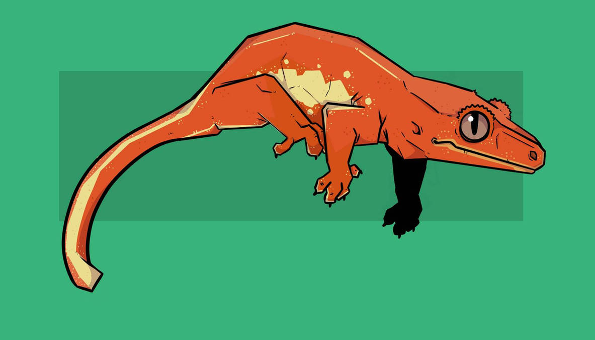 Gecko Deviantart Commission (Crested Gecko) by 20CMills02 on DeviantArt