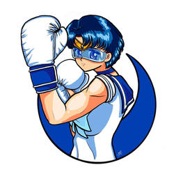 Boxer Sailor Mercury 3 by SailorInky