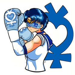 Boxer Sailor Mercury by SailorInky