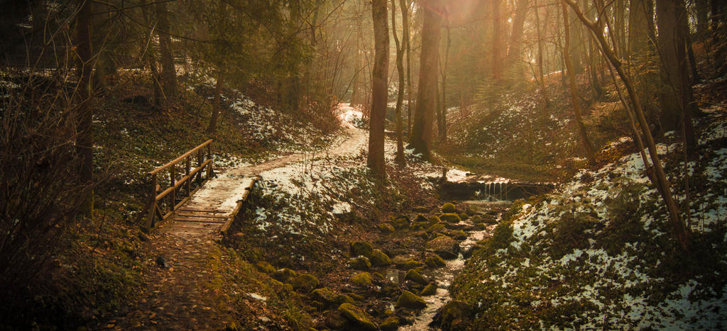 February Sun by j-amie on DeviantArt