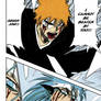 Ichigo vs. Grimmjow