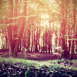 Only Time by DarkSaiF