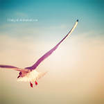 Good Bye... by DarkSaiF