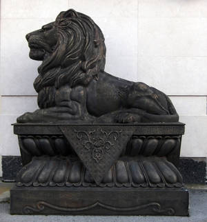 lion by svetamk lion by svetamk