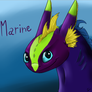 Marine-gift for PurpleMistPepper